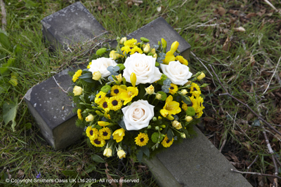 Yellow and White Posy