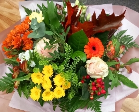 Hello autumn.